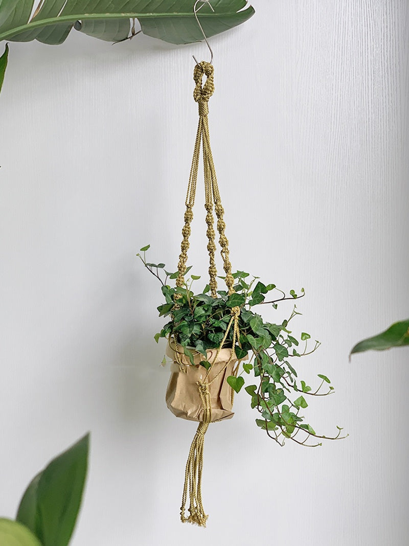 New Design Macrame Plant Hanger Flower Machine Home Decoration Wall Hanging Flower Machine Bohemian Living Room