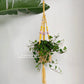 Factory Customization Accepted Macrame Plant Hanger Flower Pot Rack Handmade Bohemian Living Room Home Decor Wholesale