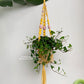 Factory Customization Accepted Macrame Plant Hanger Flower Pot Rack Handmade Bohemian Living Room Home Decor Wholesale